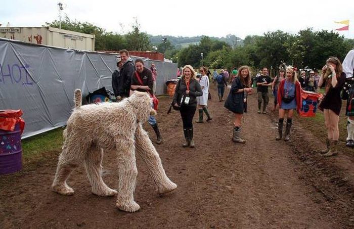 Подборка картинок. Вечерний выпуск (56 фото)