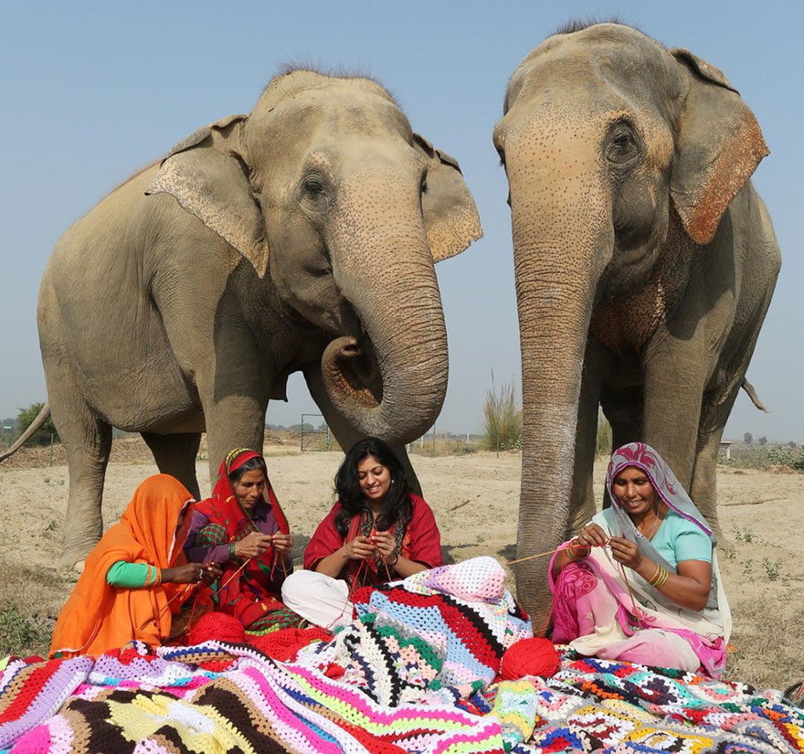 people-knit-giant-sweaters-rescue-elephants-3