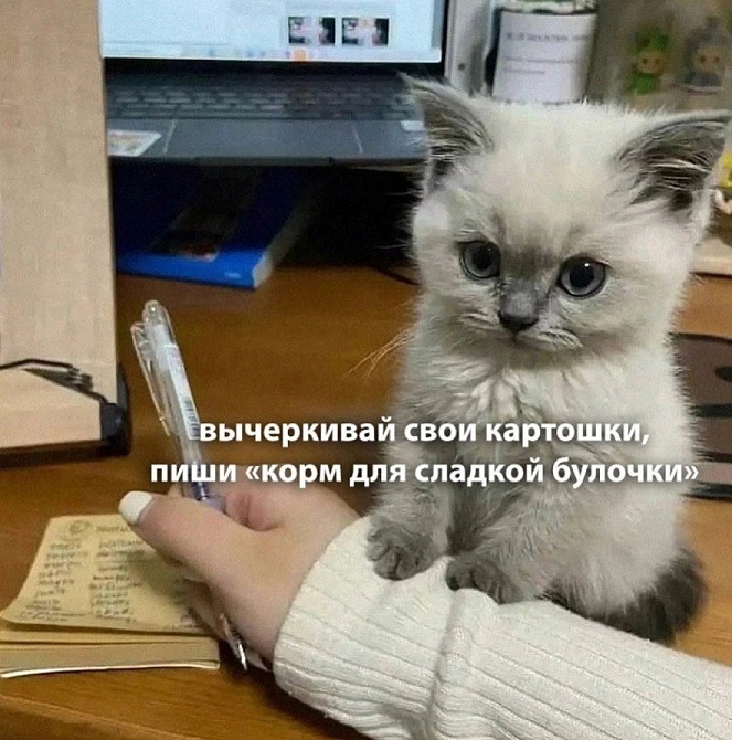 Отборный юмор для Вас!