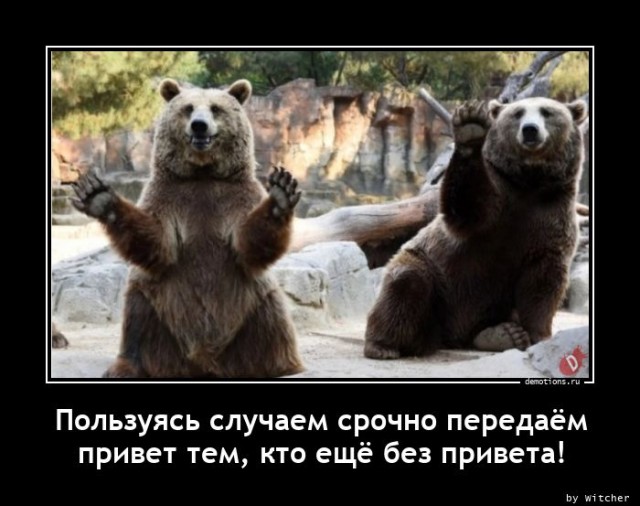 Демотиваторы – приколы: «Когда врач разрешил Валюхе не более 5-6 пельменей в день…»  г,Москва [1405113]
