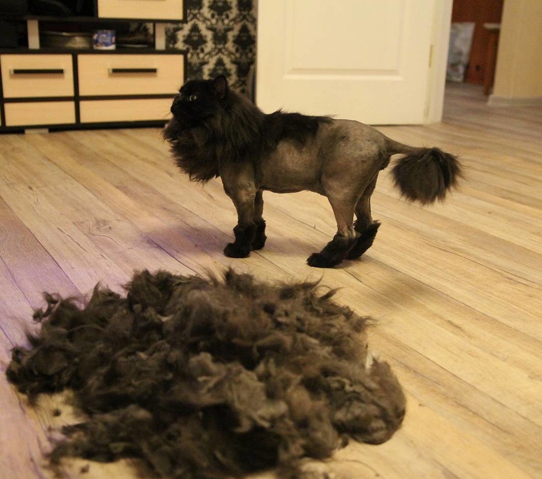 Явите миру свою истинную красоту - сбросьте лишнее! изменения, интересное, похудение, юмор