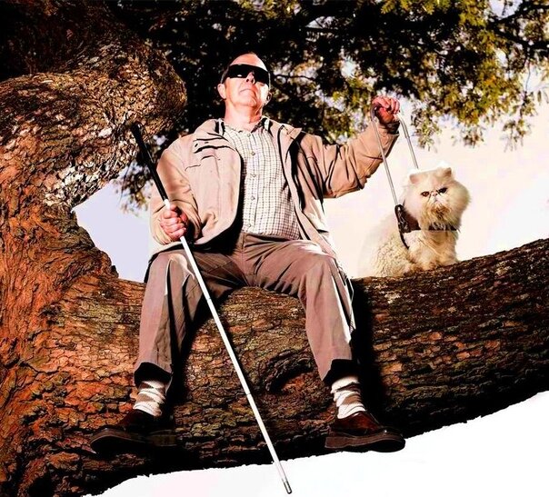 Кот поводырь