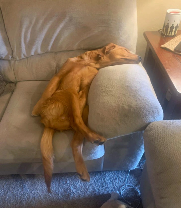 Немного позитива, на ночь глядя. Тема: СОН Немного позитива, на ночь глядя. Тема: СОН