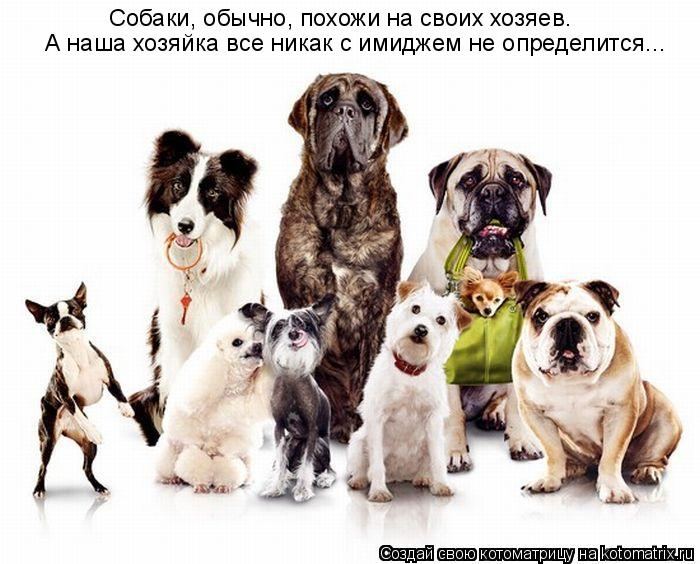 Мысли вслух :)
