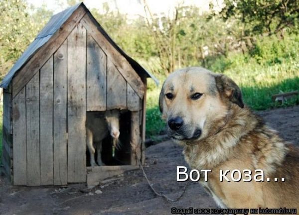 Мысли вслух :)