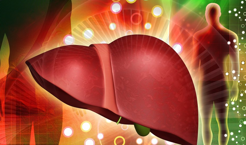 Чистим печень! Картинка с сайта Яндекс.Картинки