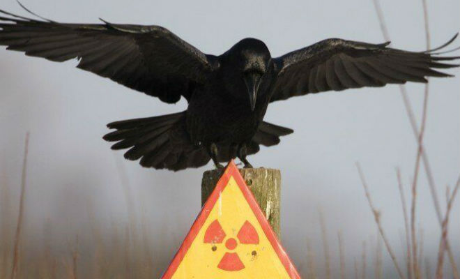 Карта ядерных взрывов в СССР: документ, который был засекречен