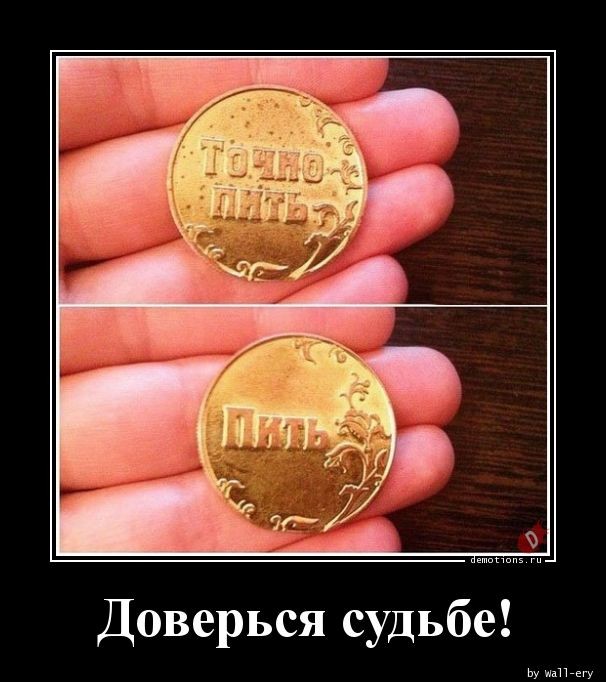 Традиционная коллекция фотоприколов для любителей демотивирующих картинок! 