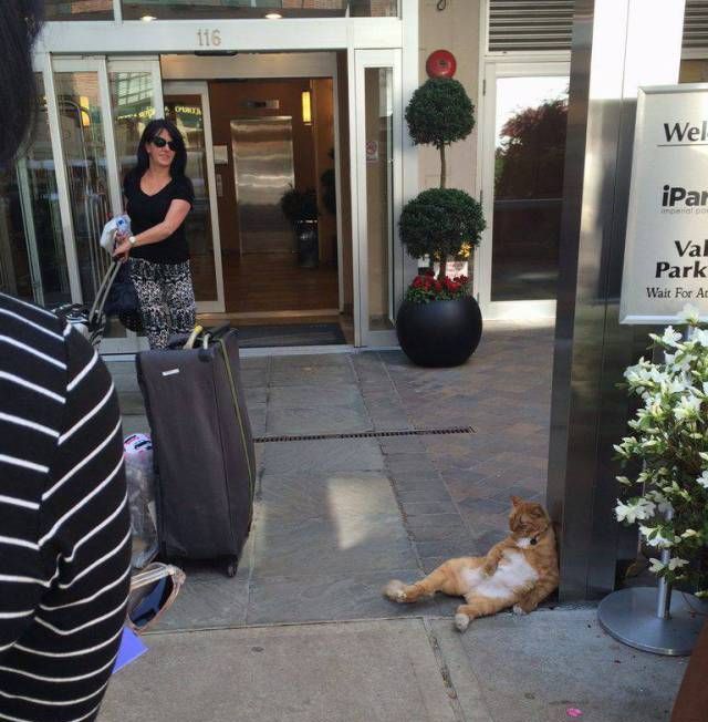 Подборка картинок. Дневной выпуск (50 фото)