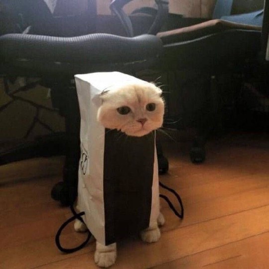 Классные и красивые фотографии для хорошего настроения 