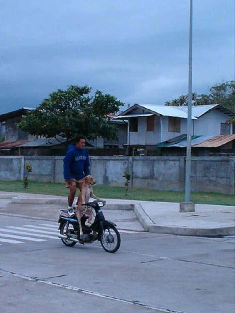 Просто фото