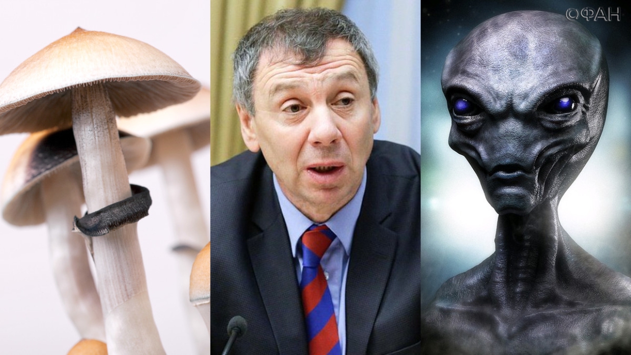 Эксперт предположил существование цивилизаций грибниц и радиоволн во Вселенной