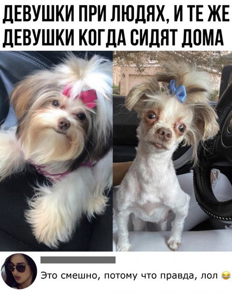 Хронические ежевечерние женские штучки Хронические ежевечерние женские штучки