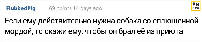 Парень хотел завести мопса, но его друг сравнил черепа собак, доказав, что это жестоко собак, проблемы, породы, собаки, время, также, здоровьем, чистокровного, мопса, нормальной, которые, мопсы, проблем, могут, чтобы, звуки, часто, много, этого, черепами