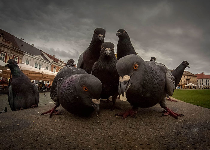 They Look Like They Are Posing For A 90s Rap Album Cover