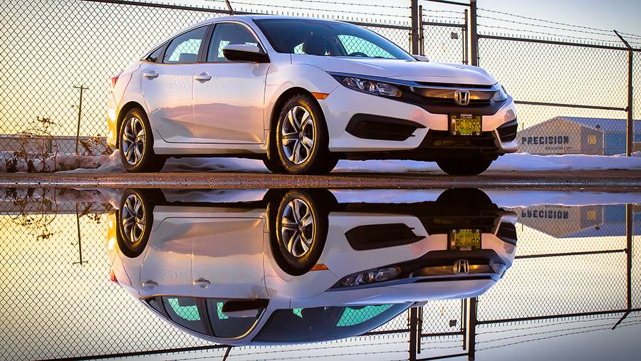 Забавные картинки для хорошего настроения Забавные картинки для хорошего настроения животные,жизнь,звери,земля,котики,коты,курьезы,мир,питомцы,планета,приколы,природа,смешное,собаки,факты,фауна,флора,щенки,юмор