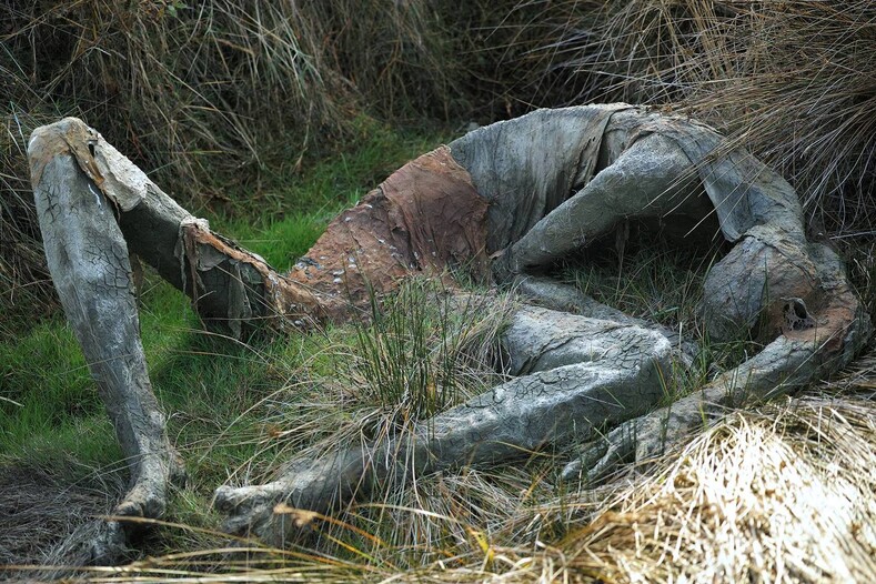 Персонажи «Ходячих мертвецов» оживают: скульптуры, которые могут присниться в самом страшном сне интересное,искусство,природа,скульптура
