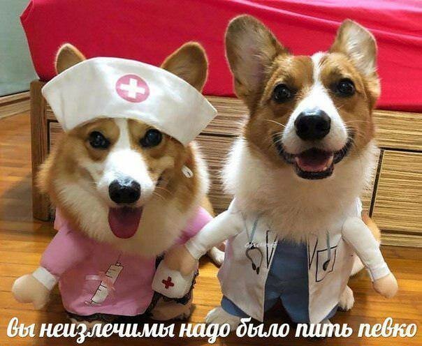 Подборка интересных и веселых картинок №15