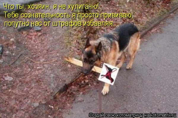 Мысли вслух :)