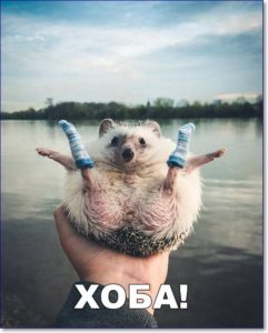 Смешные картинки и мемы с надписями Смешные картинки и мемы с надписями