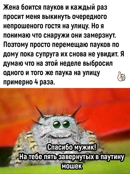 Отборный юмор для Вас! Отборный юмор для Вас!