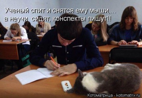 Котоматрица на Бугаге (28 фото)