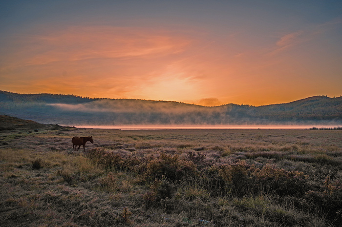 Краски горного Алтая: неожиданно и нереально Краски горного Алтая: неожиданно и нереально
