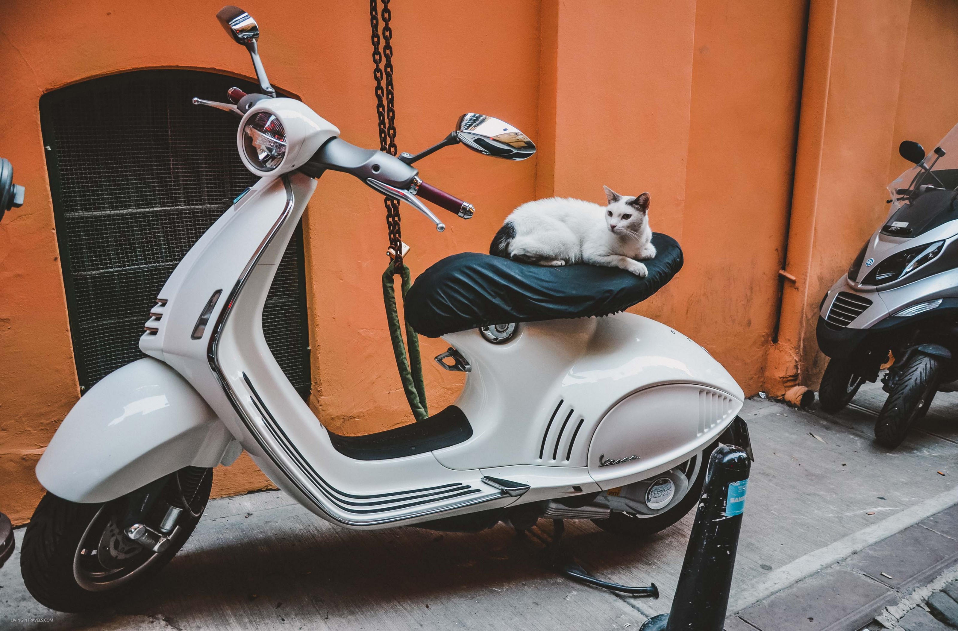 10 причин почему я не люблю Стамбул 10 причин почему я не люблю Стамбул страны,туризм