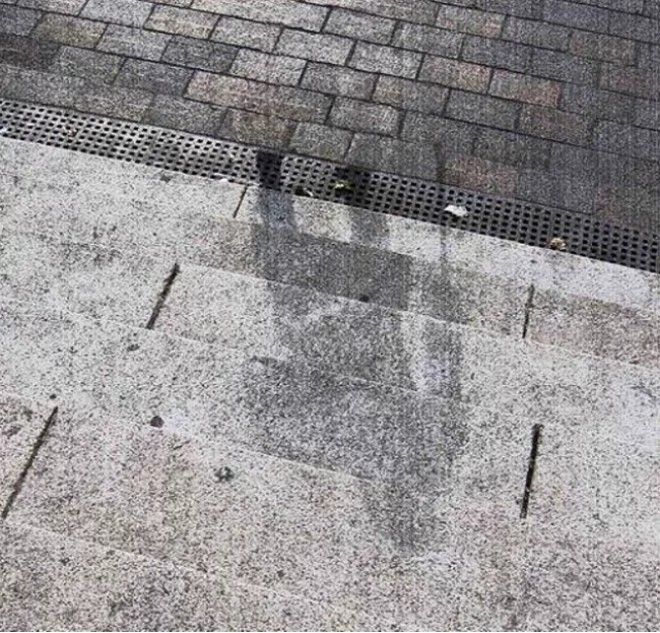 21 исторический факт, о котором в школе не рассказывали 