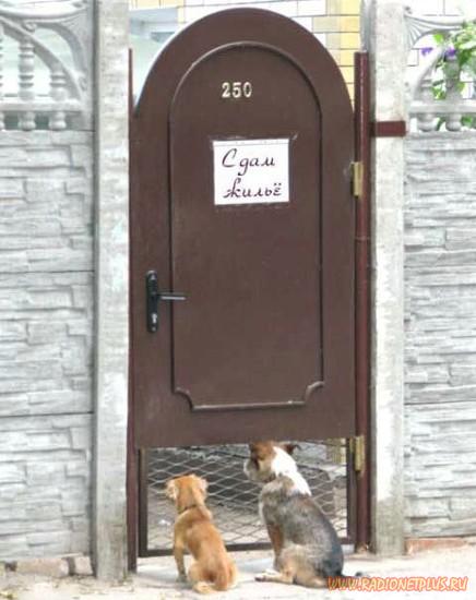 Давайте улыбаться вместе! :) Давайте улыбаться вместе! :)