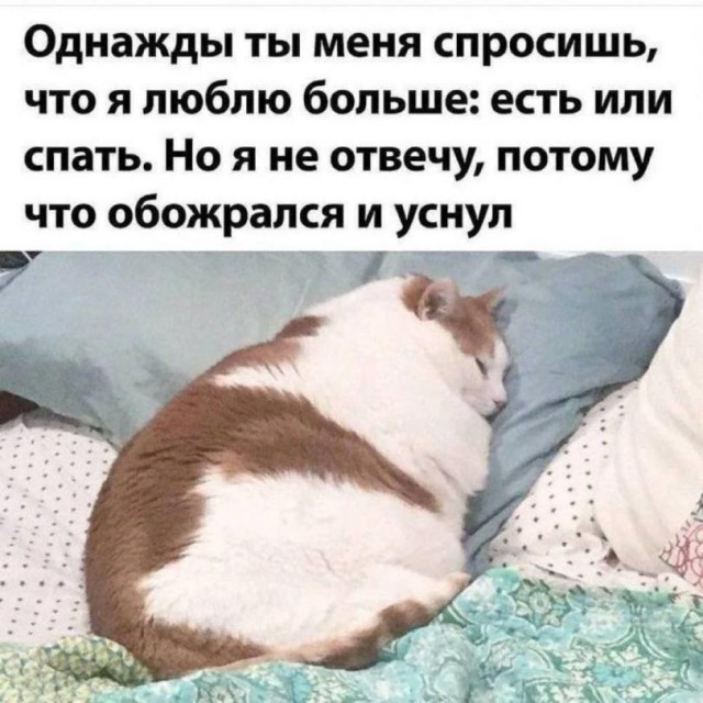 Прикольные мемы: «Устроился удалёнщиком…» 