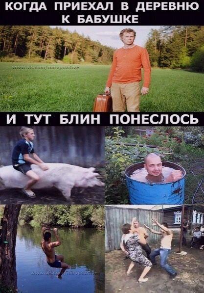 Смешные классные картинки 