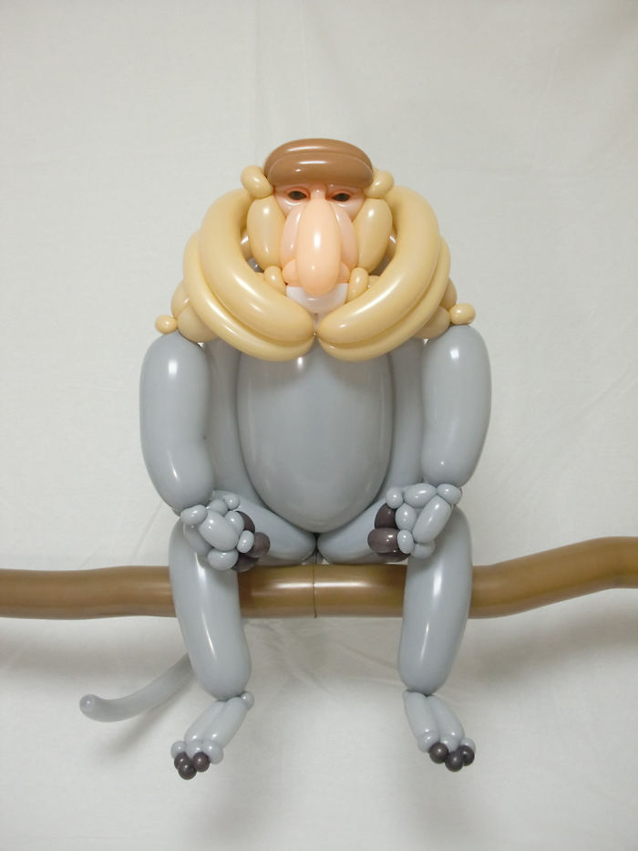 Proboscis Monkey