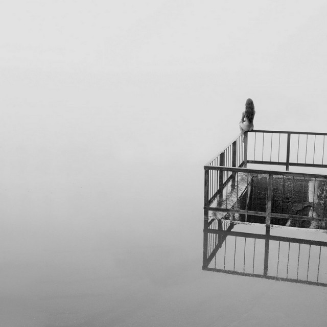 «Белая тишина». Фотограф Павел Терешковец