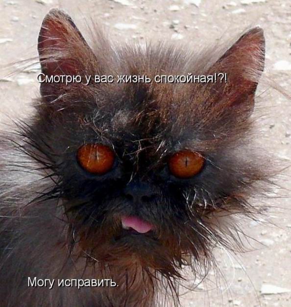 Мысли вслух :)