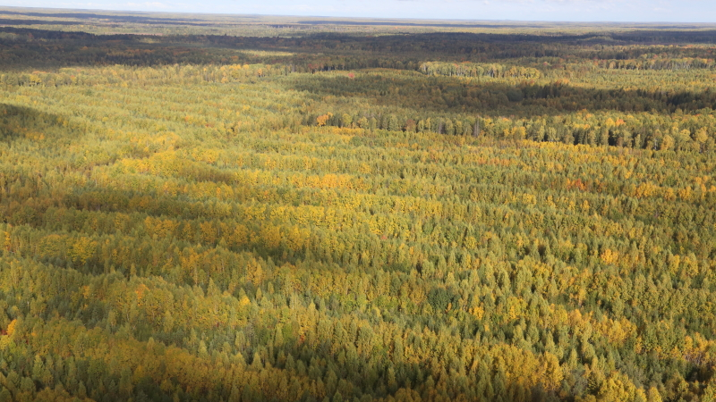 Николай Дурманов: Россия может спасти планету от экологической катастрофы