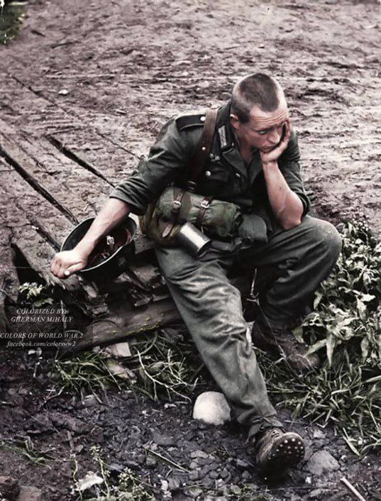 wikimedia.commons.org