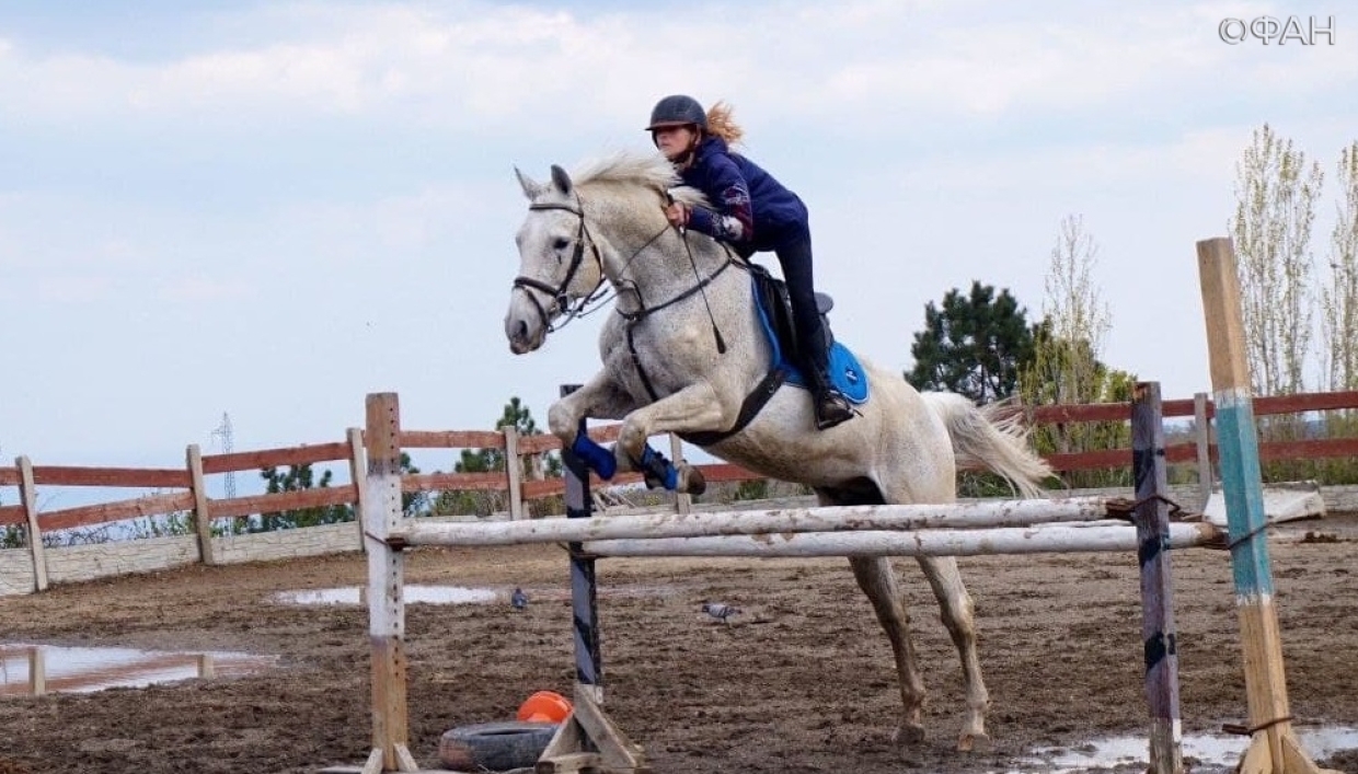 Чемпионы спортивных конных соревнований Крыма и России воспитываются в клубах Алушты