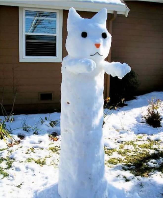 a97283_g181_3-snowcat-659x800