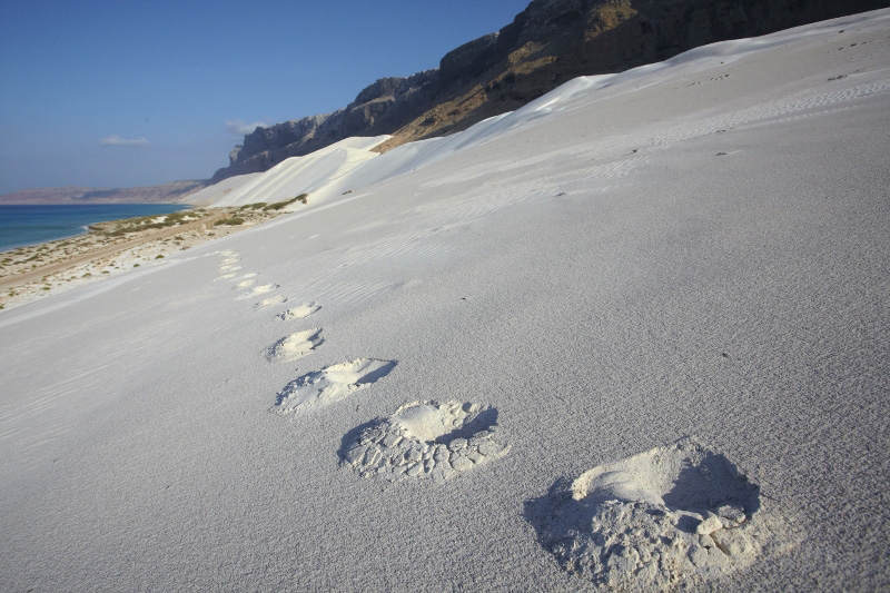Неземные пейзажи Сокотры Неземные пейзажи Сокотры авиатур
