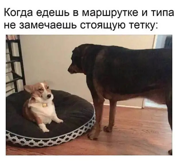Продавец колбасного отдела, на который напали грабители, не смог уберечь салями, зато защитил докторскую! Продавец колбасного отдела, на который напали грабители, не смог уберечь салями, зато защитил докторскую! кyпил, спрашивает, сказать, Париже, мальчик, говорит, единственного, выпьем, смогу, публичные, всегда, чтобы, полетел», дерьом, несет, открытый, сказал, которого, посмотри, крокодил