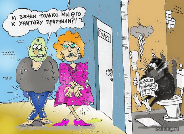 ÐÐ°ÑÑÐ¸Ð½ÐºÐ¸ Ð¿Ð¾ Ð·Ð°Ð¿ÑÐ¾ÑÑ ÐºÐ°ÑÐ¸ÐºÐ°ÑÑÑÑ Ð¿ÑÐ¾ ÐºÐ¾ÑÐ¾Ð² ÐºÐ°ÑÑÐ¸Ð½ÐºÐ¸