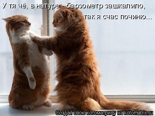 Мысли вслух :)