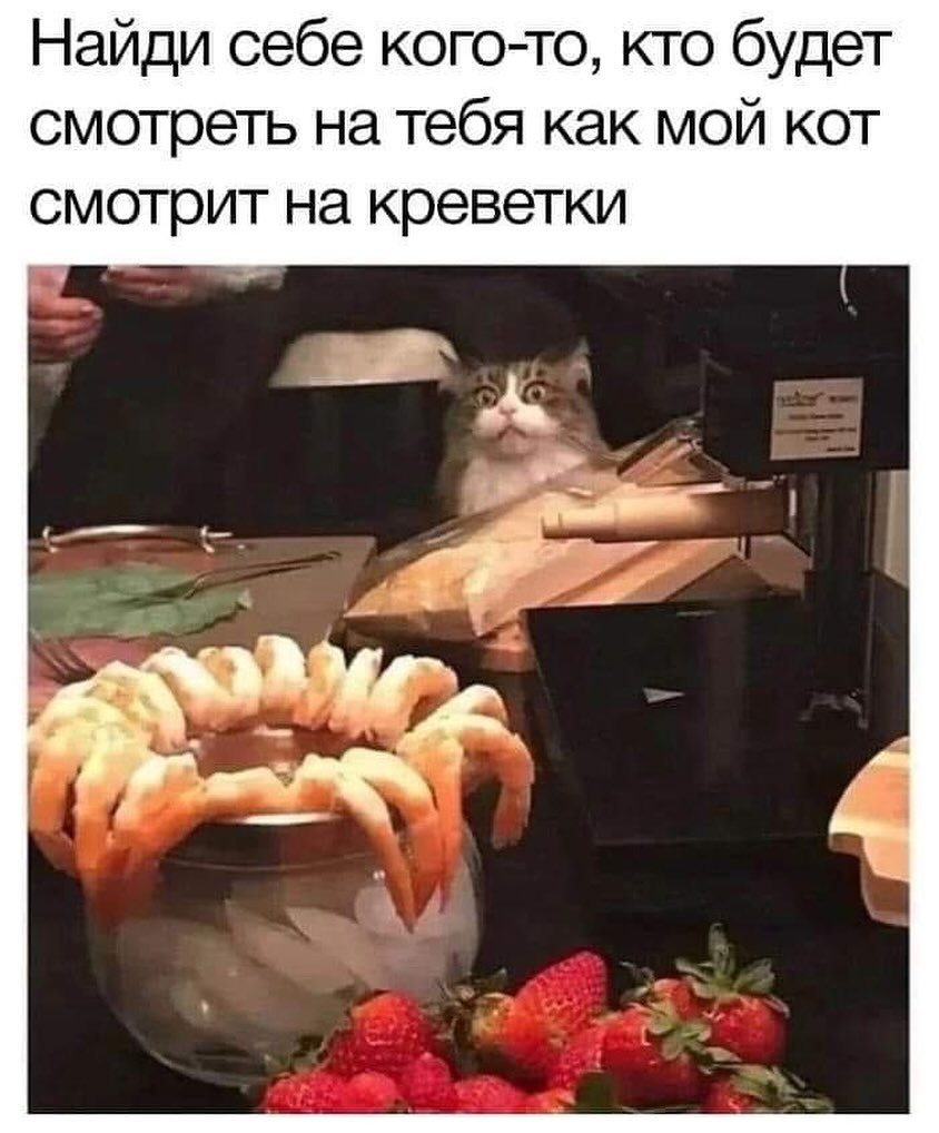 Немножко смешных зверушек... Надёргано , отовсюду