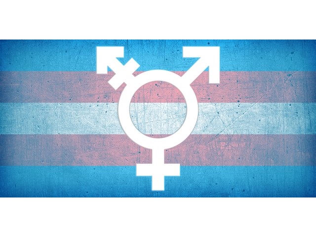 20 штатов осудили приказ Байдена, открывающий трансгендерам женский туалет геополитика