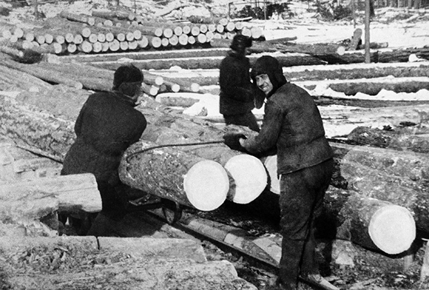 «Это не ложь, это особая правда» власть,истории,общество,россияне