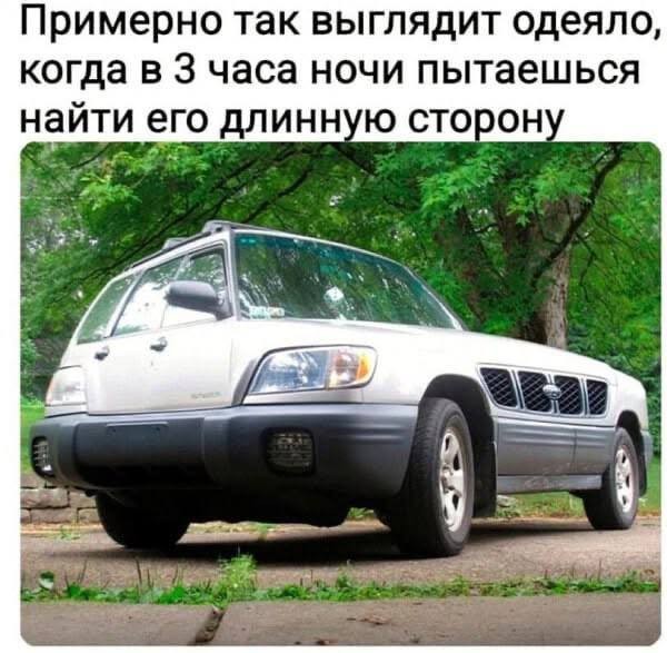 Прикольные мемы: «Устроился удалёнщиком…» 