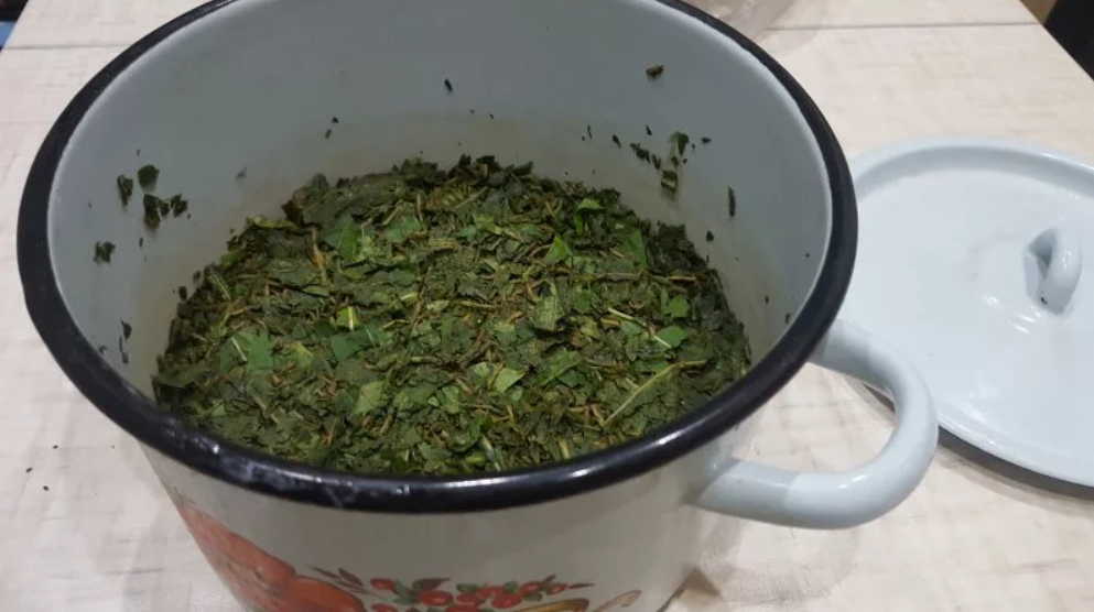 Это очень действенный рецепт - лечитесь им, и ваша память вновь заработает без сбоев!