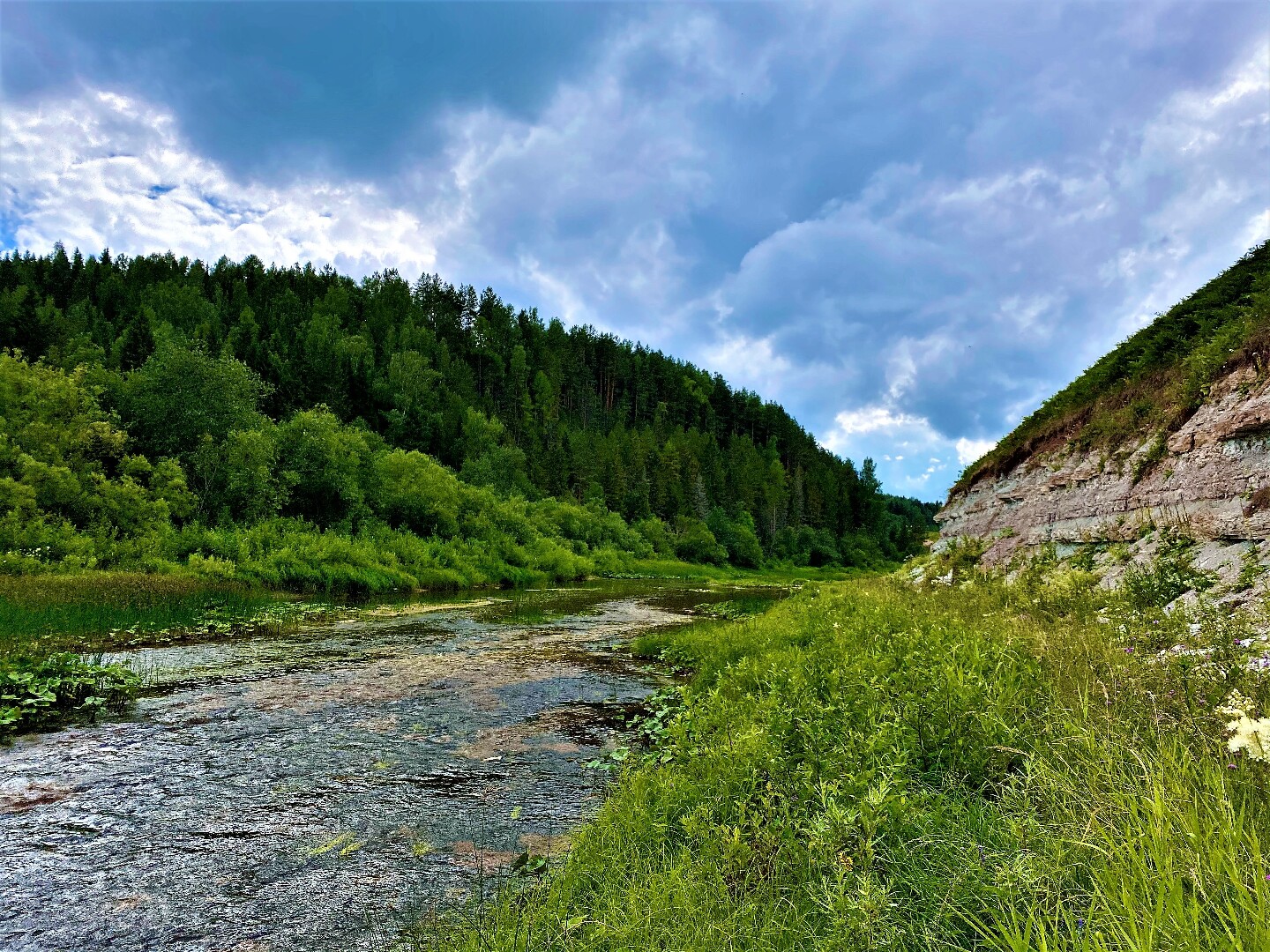 река стрельна вологодская область