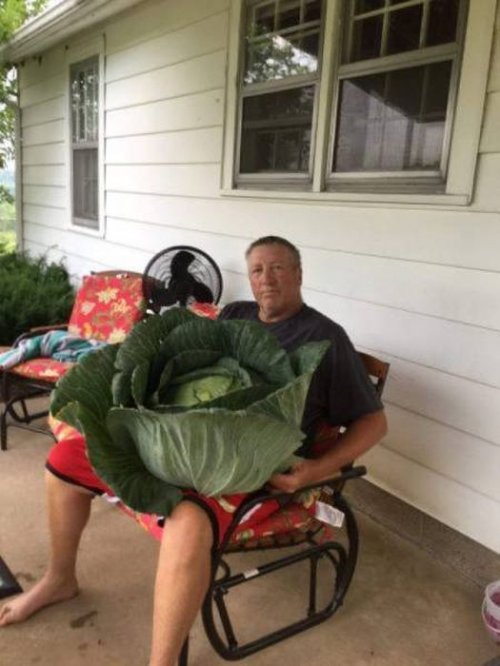 Размер имеет значение (35 фото)